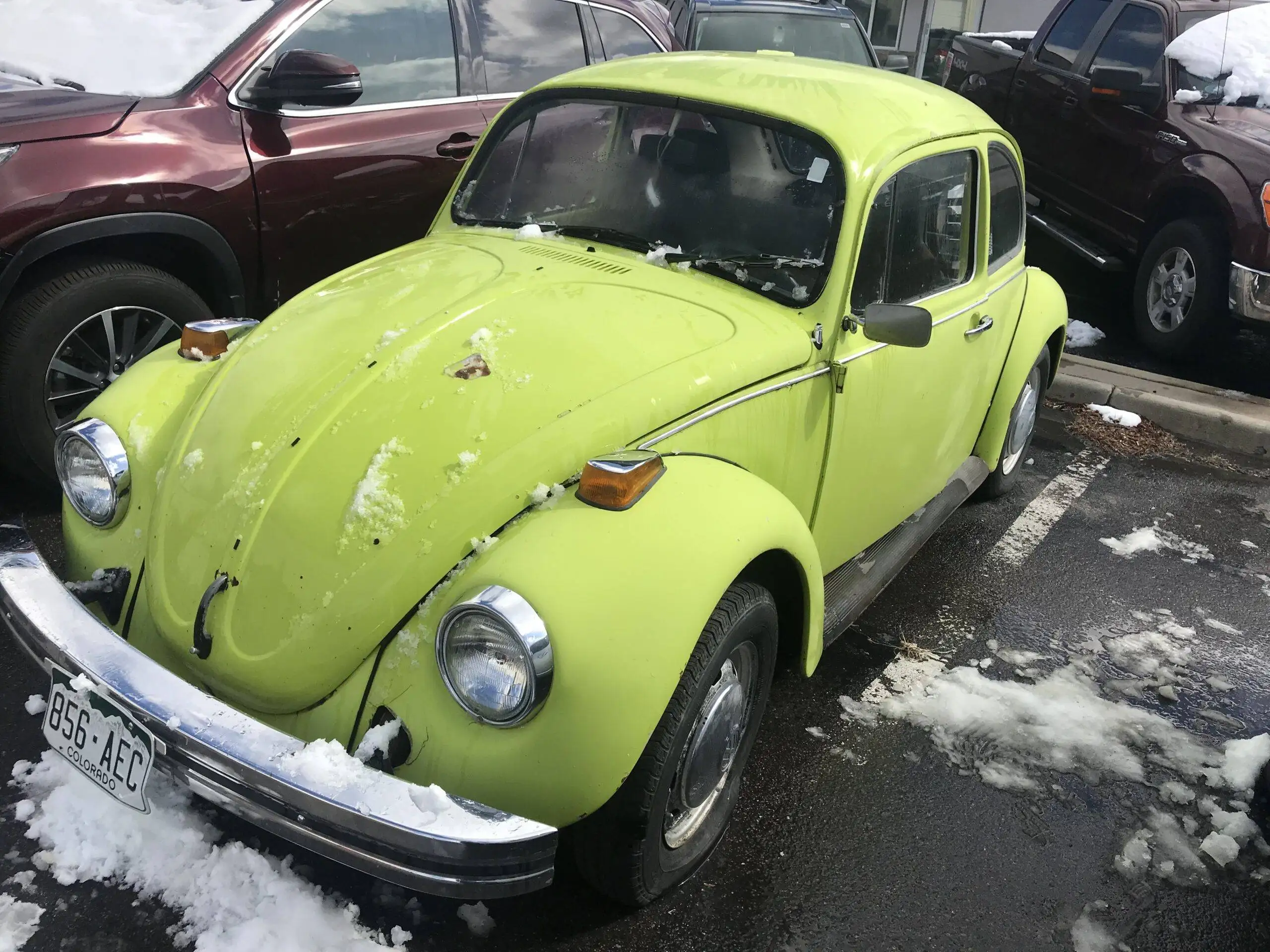 VW Bug Restoration